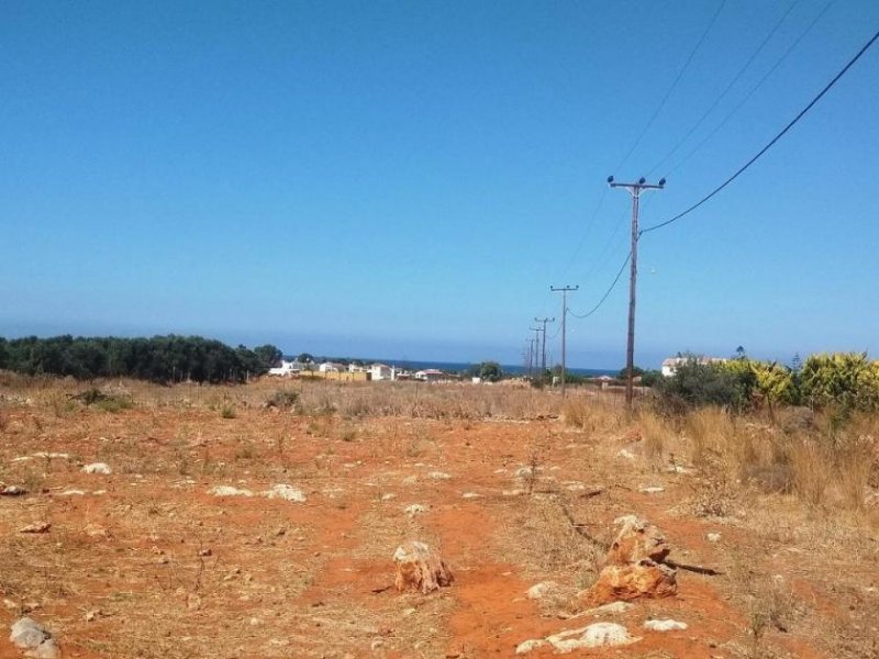 Stavros Kreta, Stavros: Grundstück zu verkaufen, nur wenige Meter vom Strand entfernt Grundstück kaufen